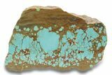 Polished Turquoise Slab - Number Mine, Carlin, NV #248343-1